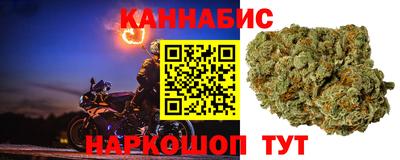 твердый Будённовск